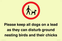 please-keep-all-dogs-on-a-lead-as-they-can-disturb-ground-nesting-birds-and-thei~